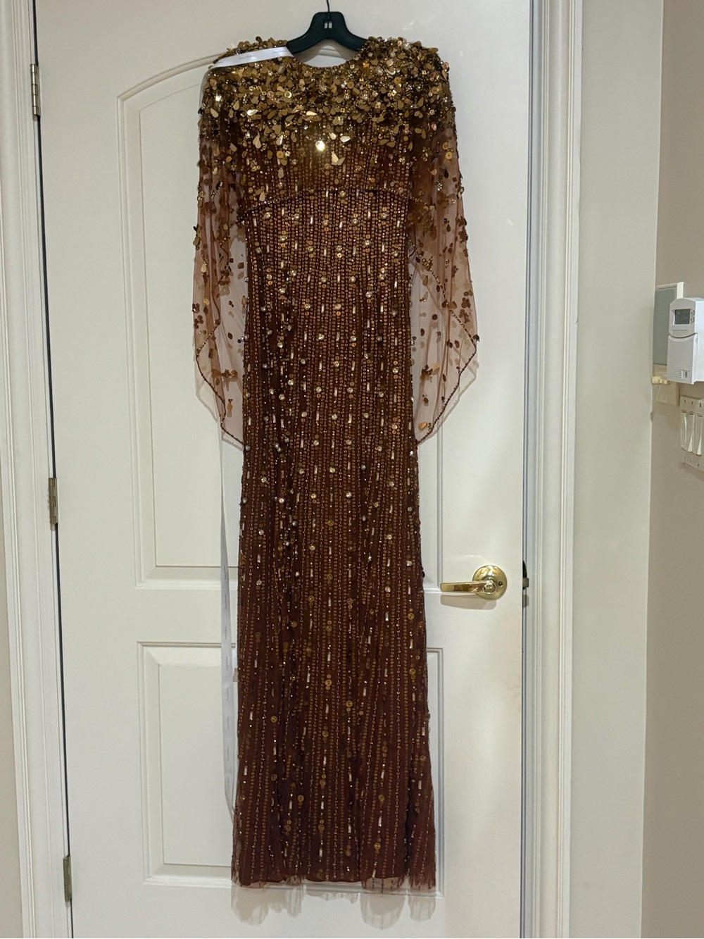 Jenny Packham Nettie cape-effect embellished sequined tulle gown in Bronze - Picture 5 of 5